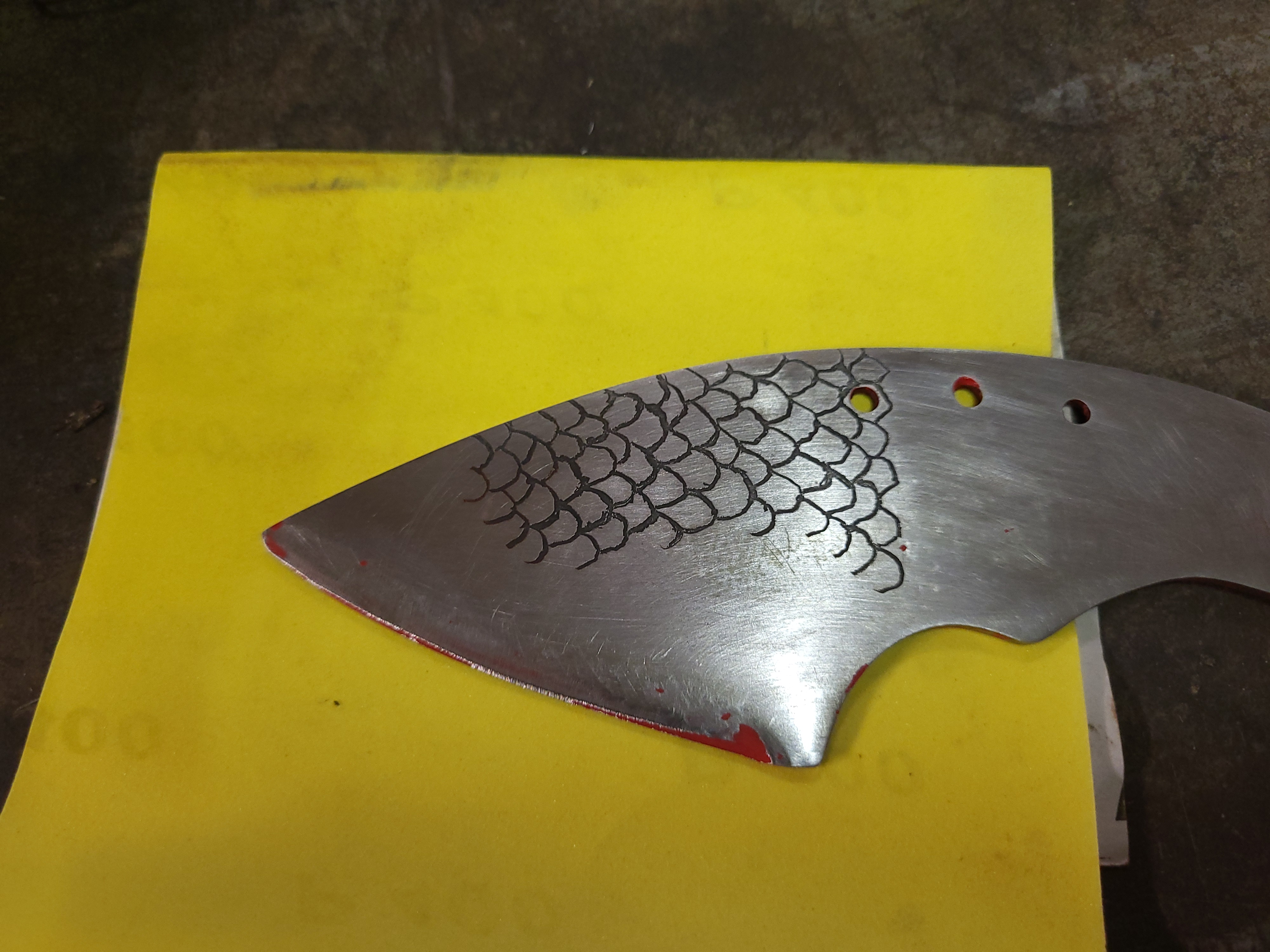 Image: 20251219_205503.jpg